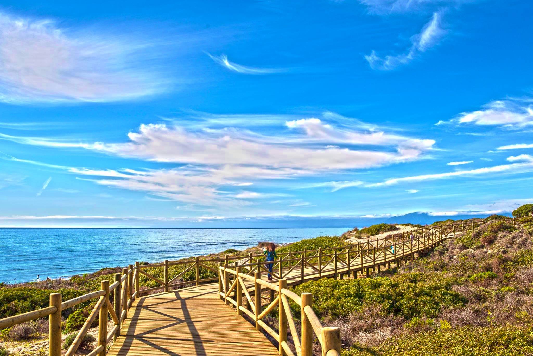 Cabo pino